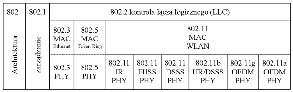 Struktura rodziny sieci opartych na IEEE 802